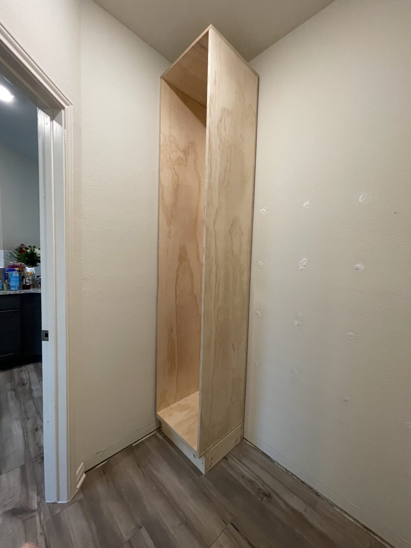 Cabinet in Pantry