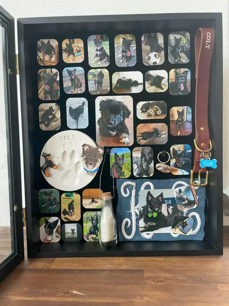Pet Memorial Shadow Box - Memories of Colt