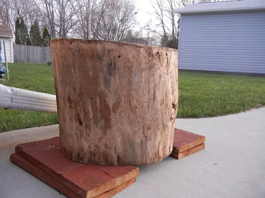 Tree Stump Table | DIY