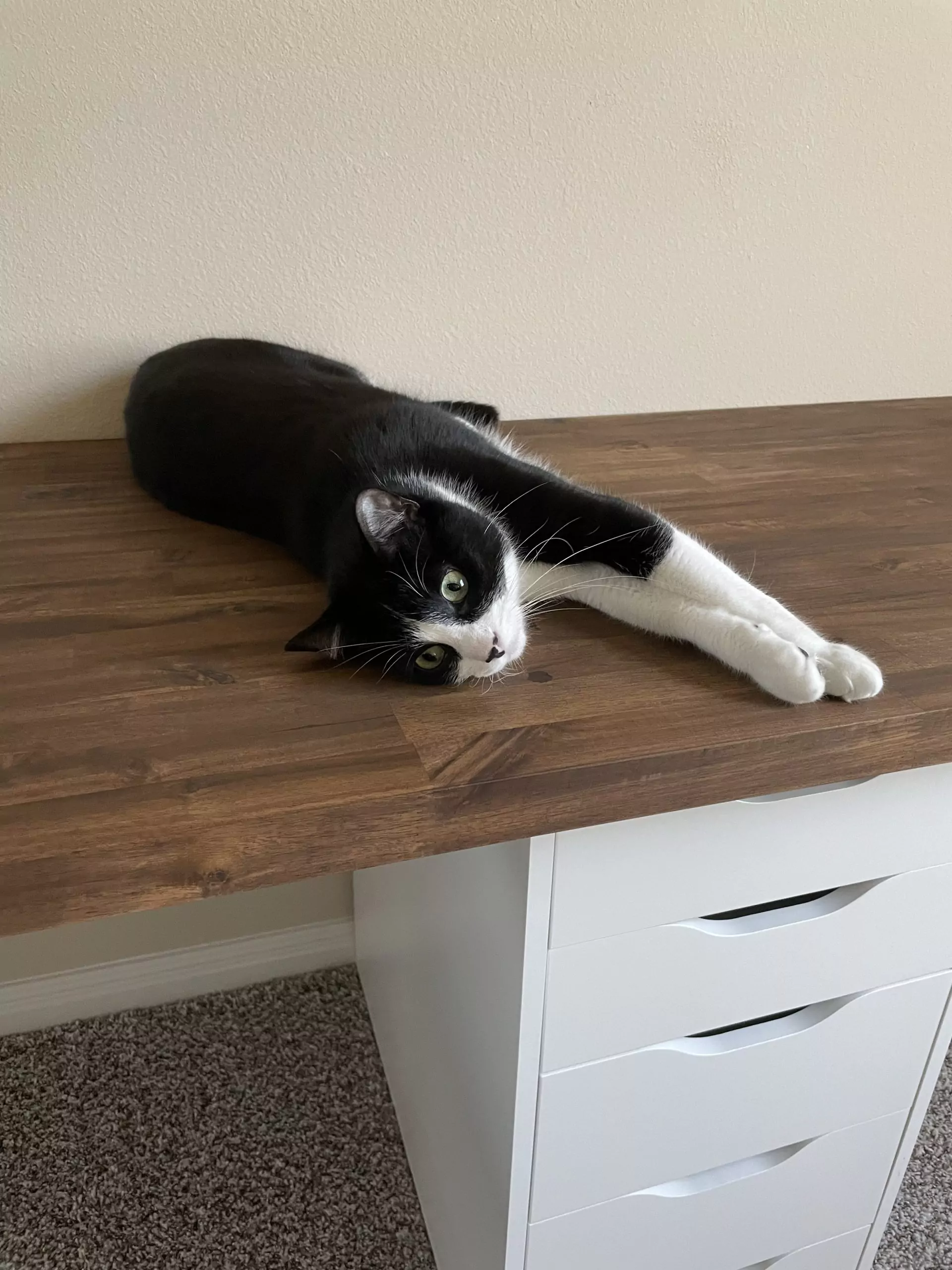 Potato on top of desk