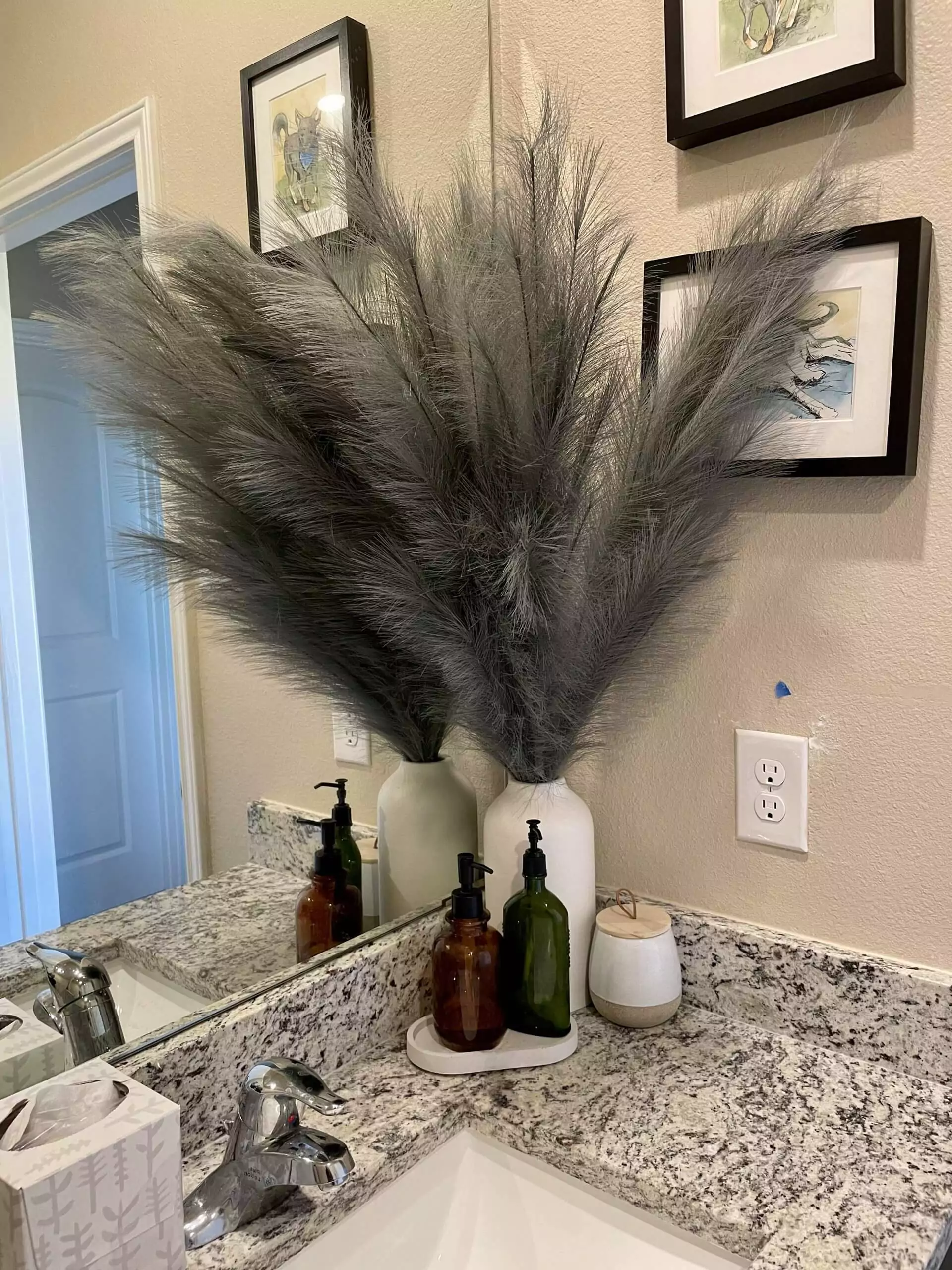 pampas grass