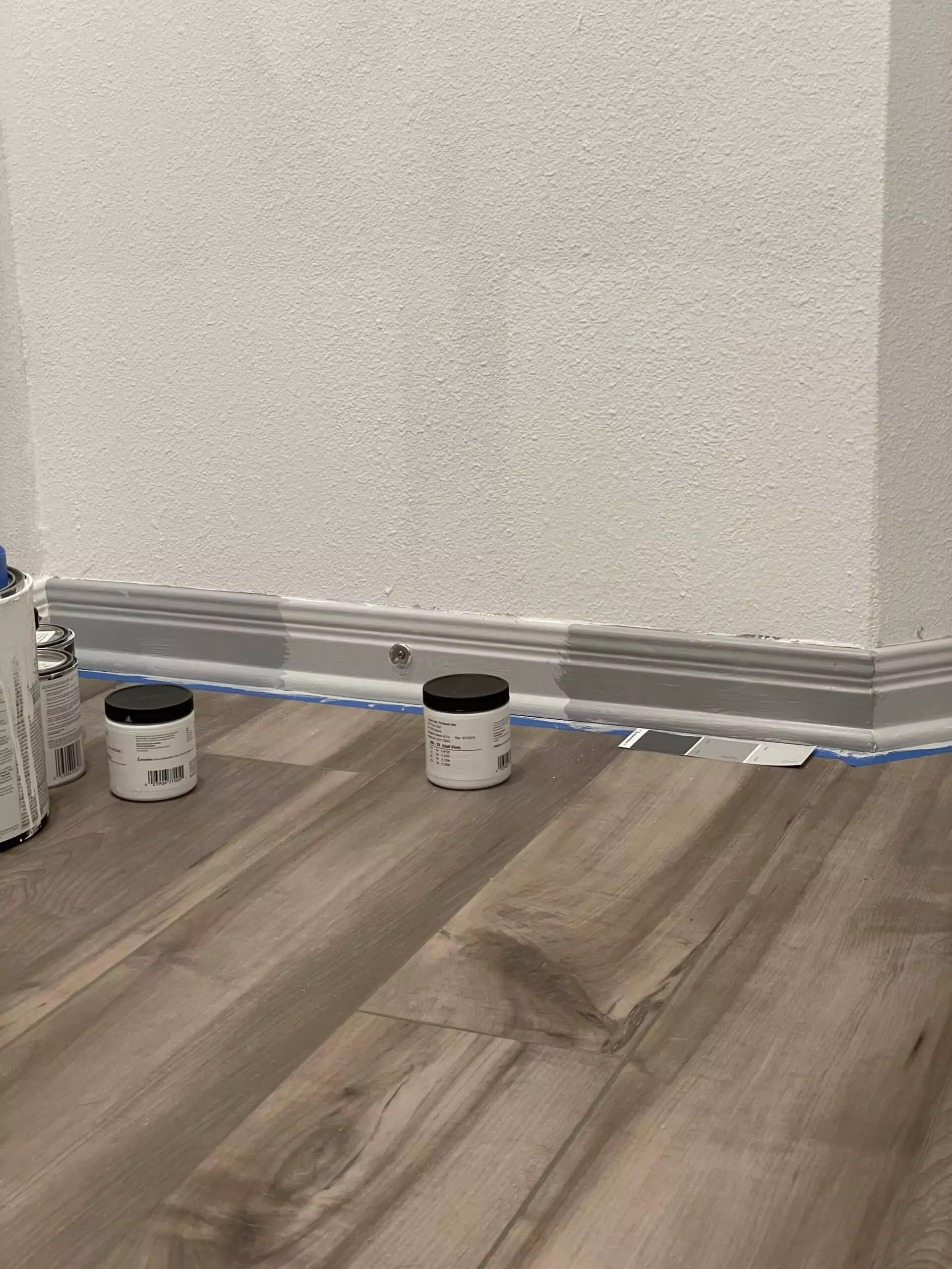 Grey Trim Paint Samples