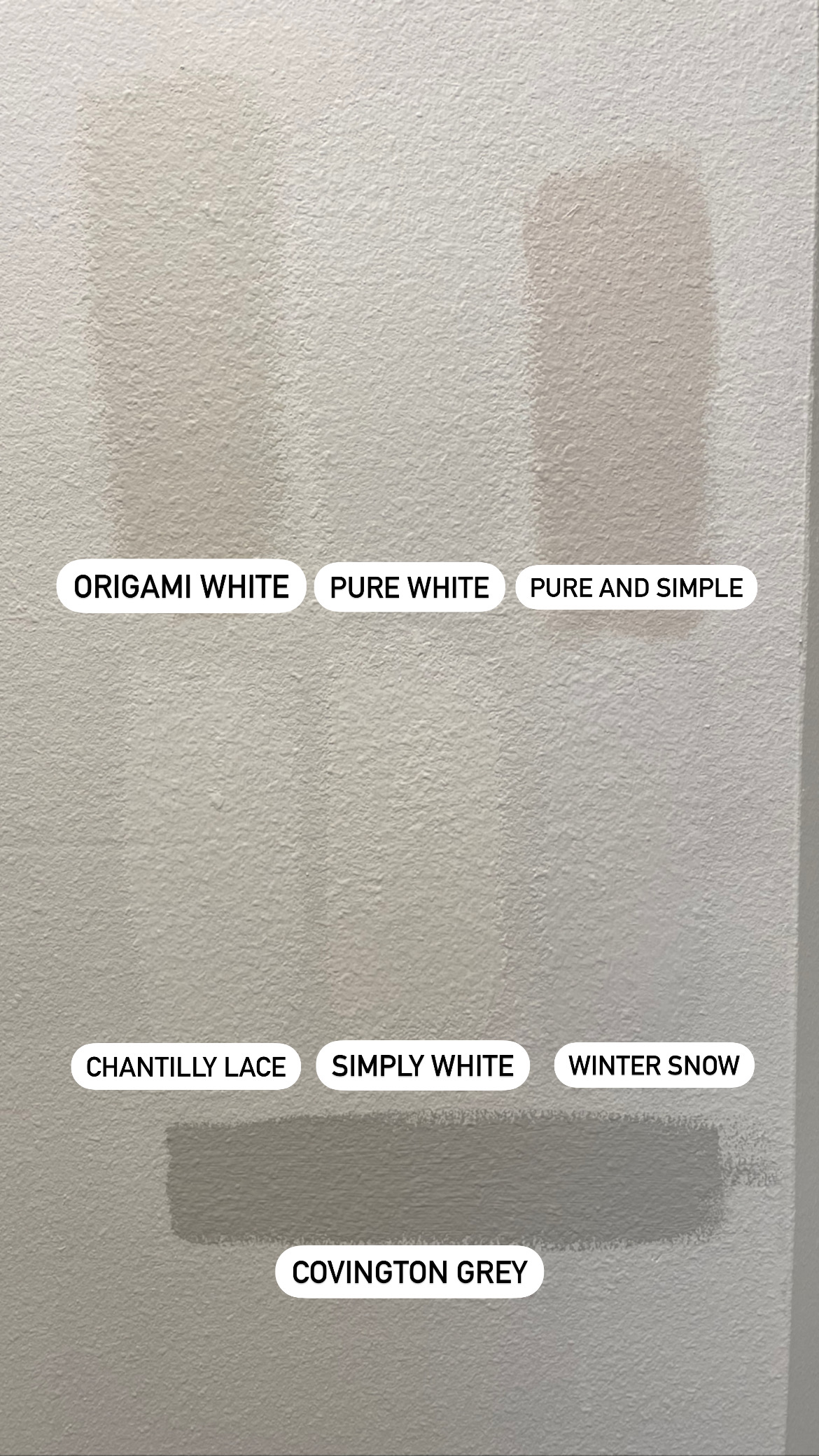 White Paint Samples Labeled