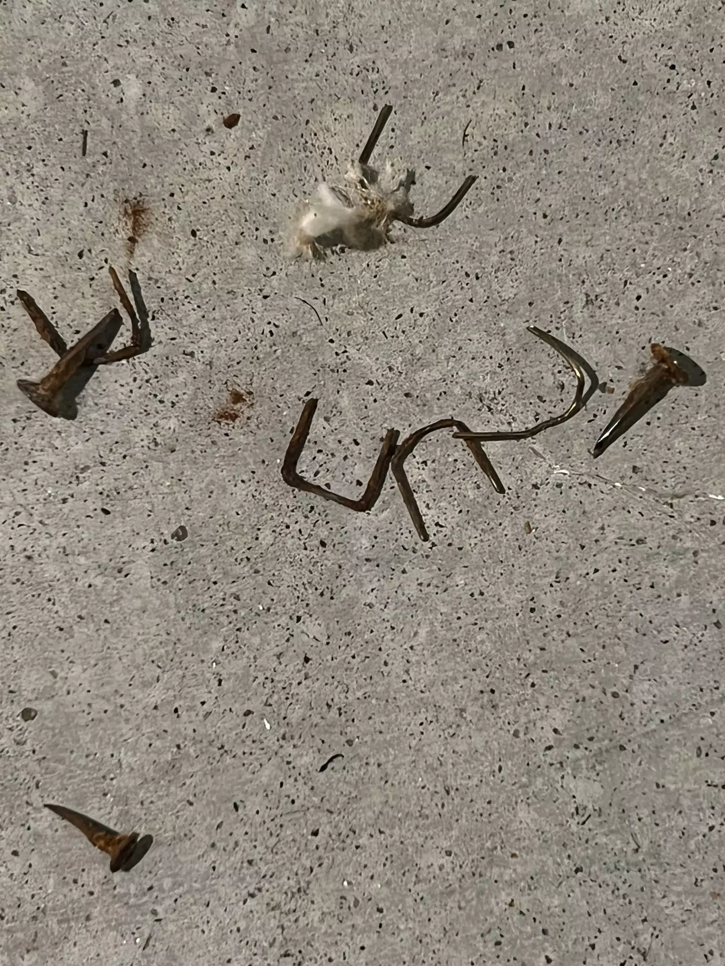 rusty nails and staples