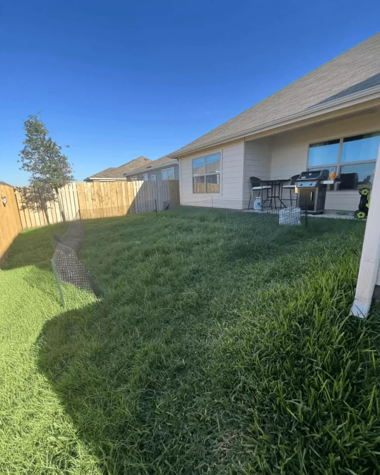 Making Your Lawn Look Great Without Spending a Lot of Money