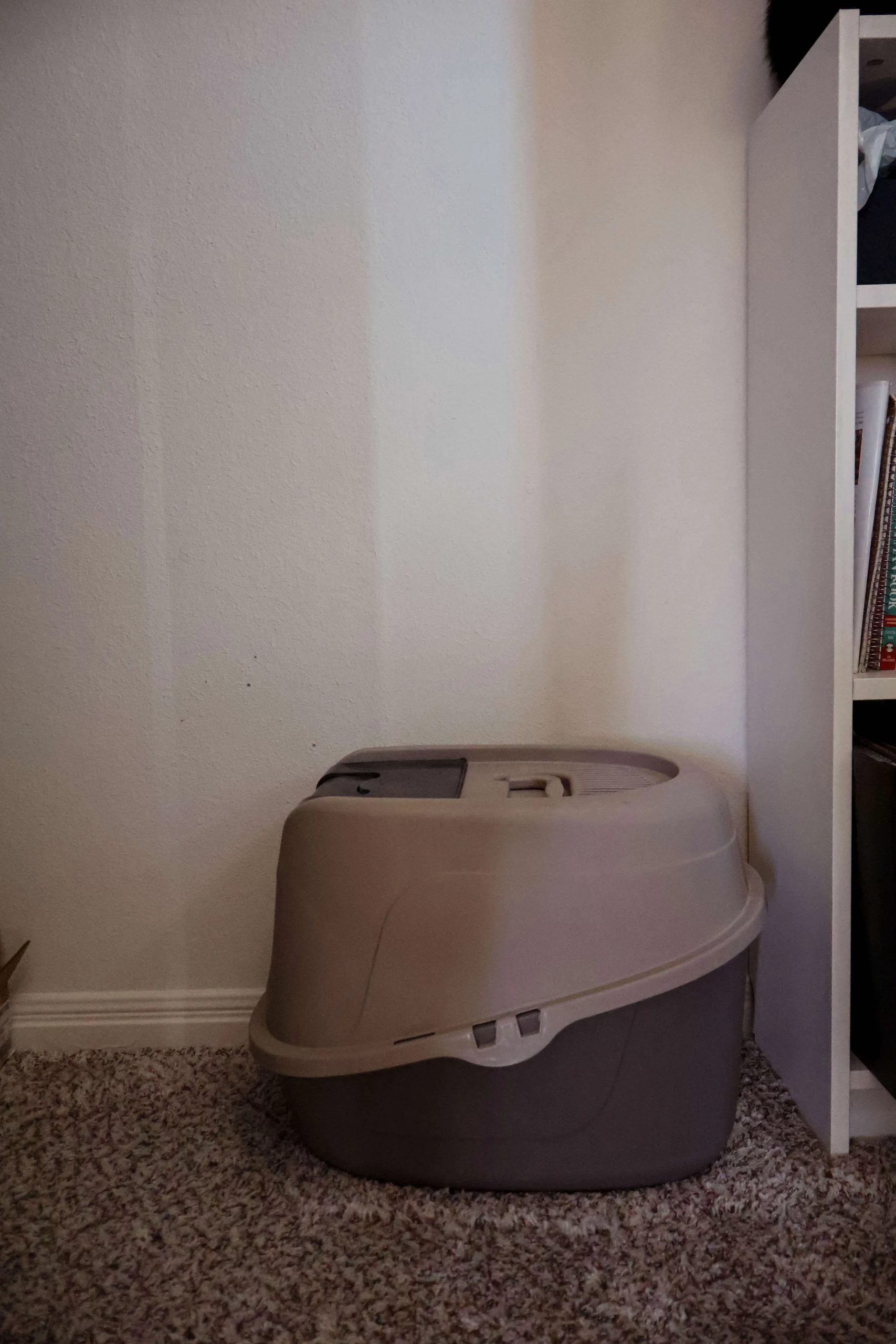 Litter Box