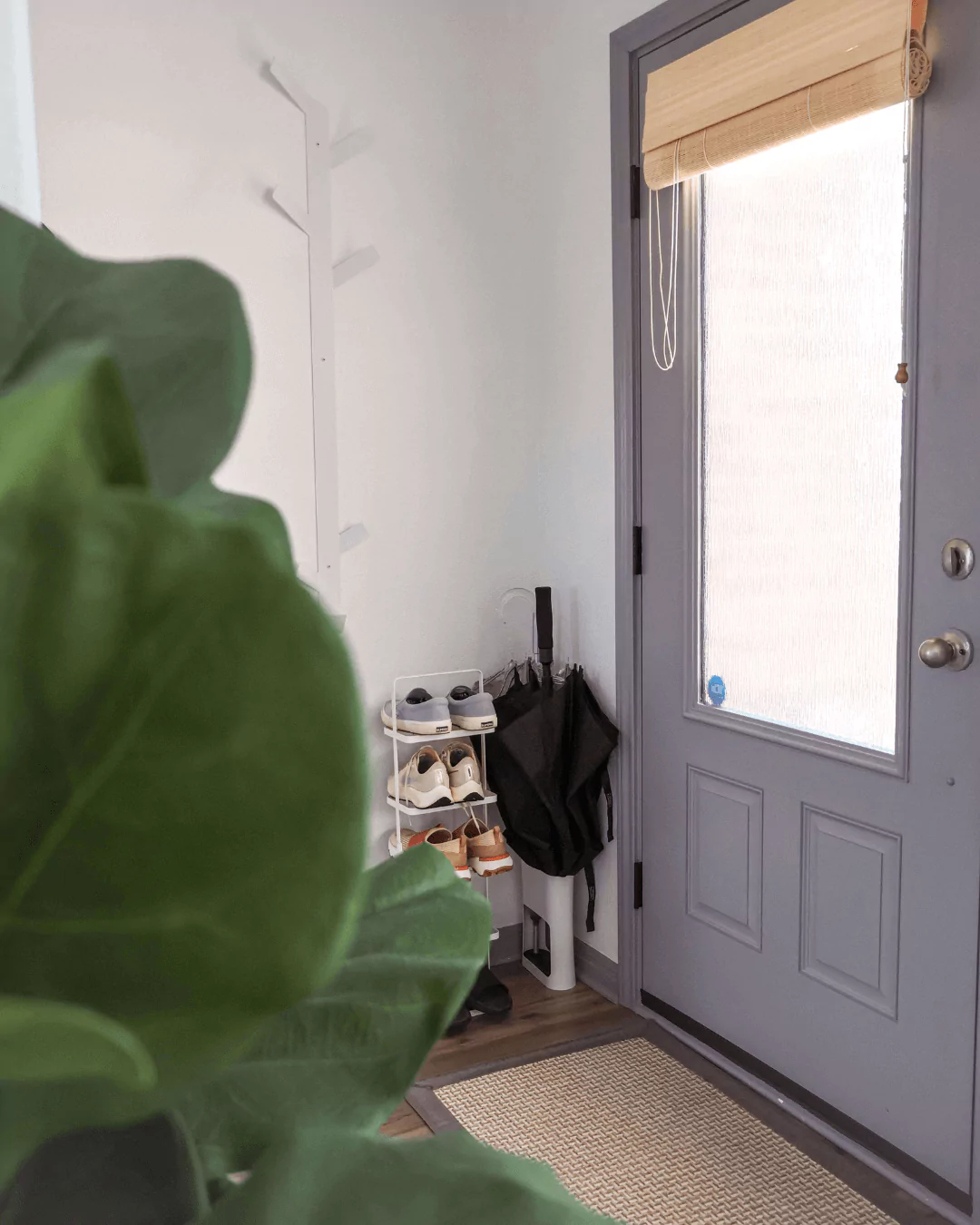 Small Entryway Front Door