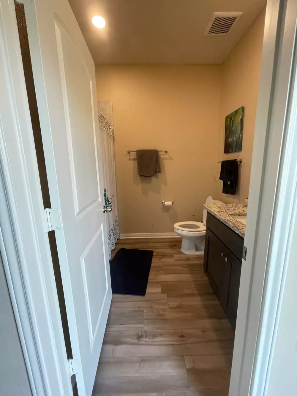 Bathroom Hardware Before
