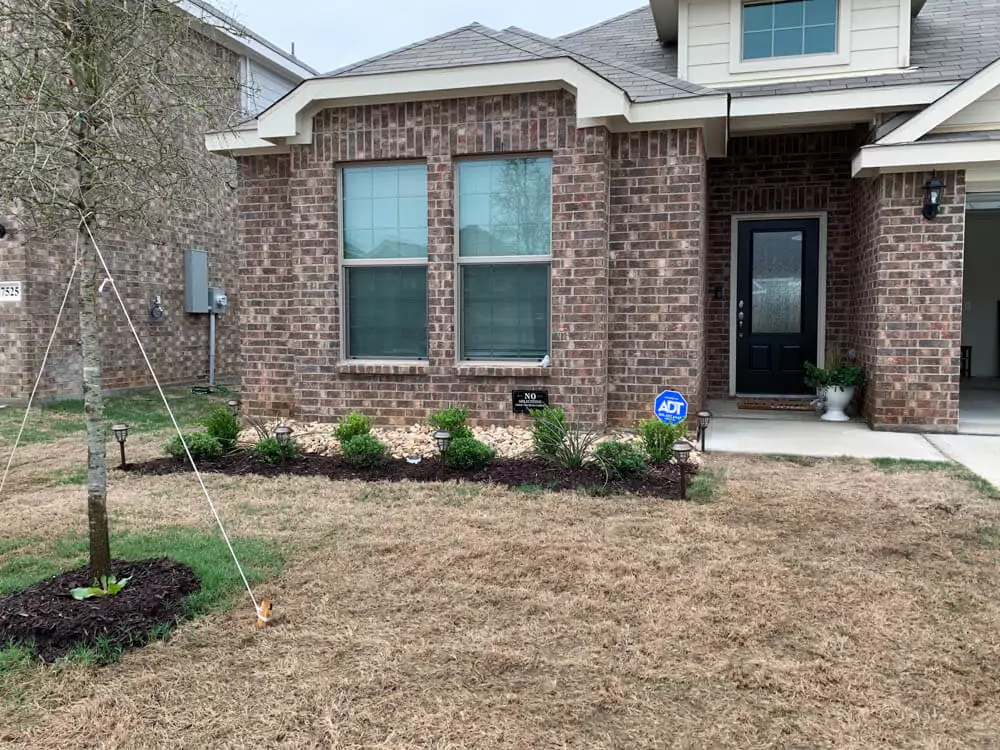 Flower Bed Before