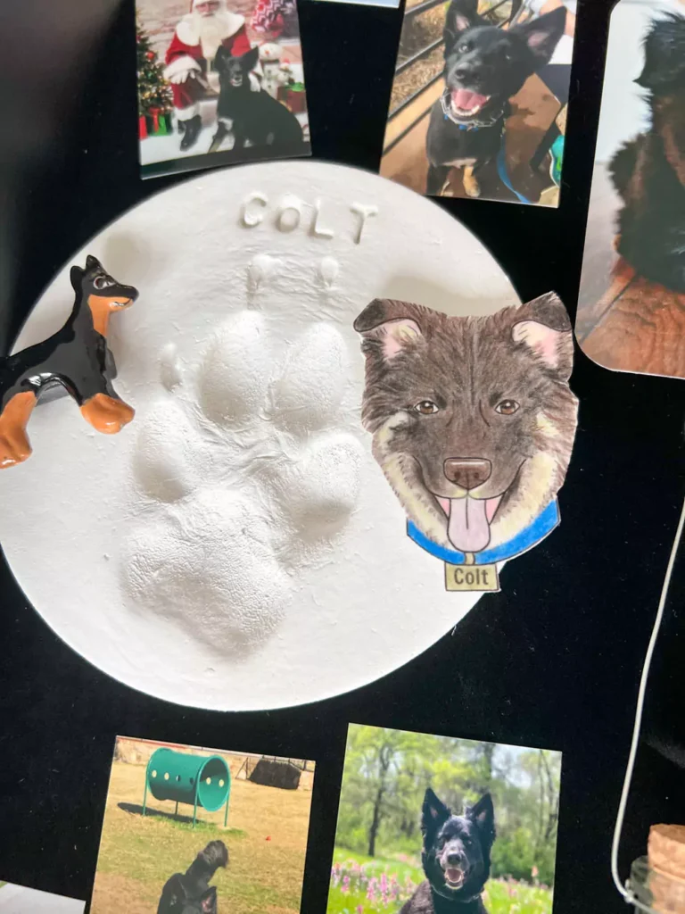 Pet Memorial Shadowbox Colt's footprint impression