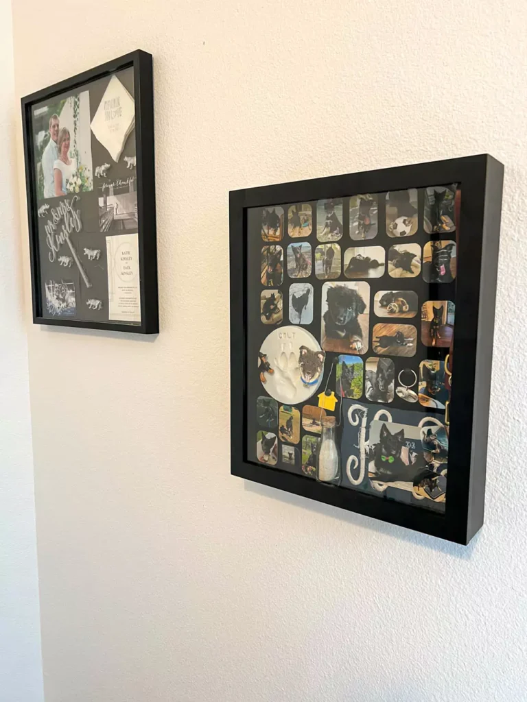 Pet Memorial Shadowbox hanging on wall