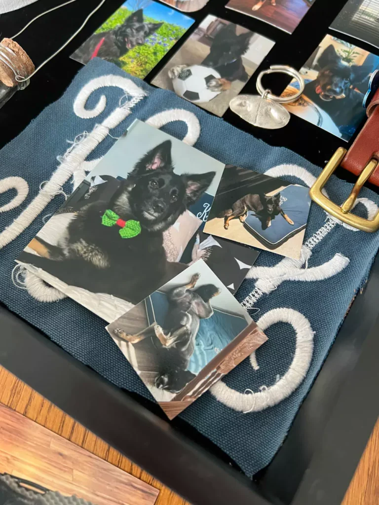 Pet Memorial Shadowbox photos of Colt