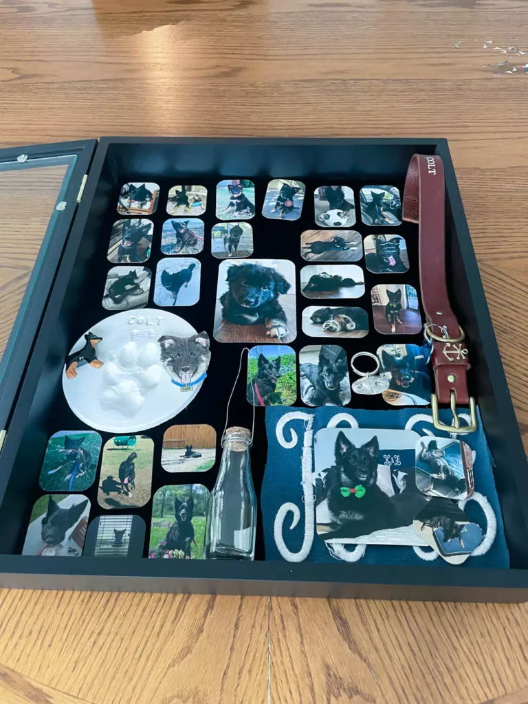 Pet Memorial Shadowbox finalizing layout